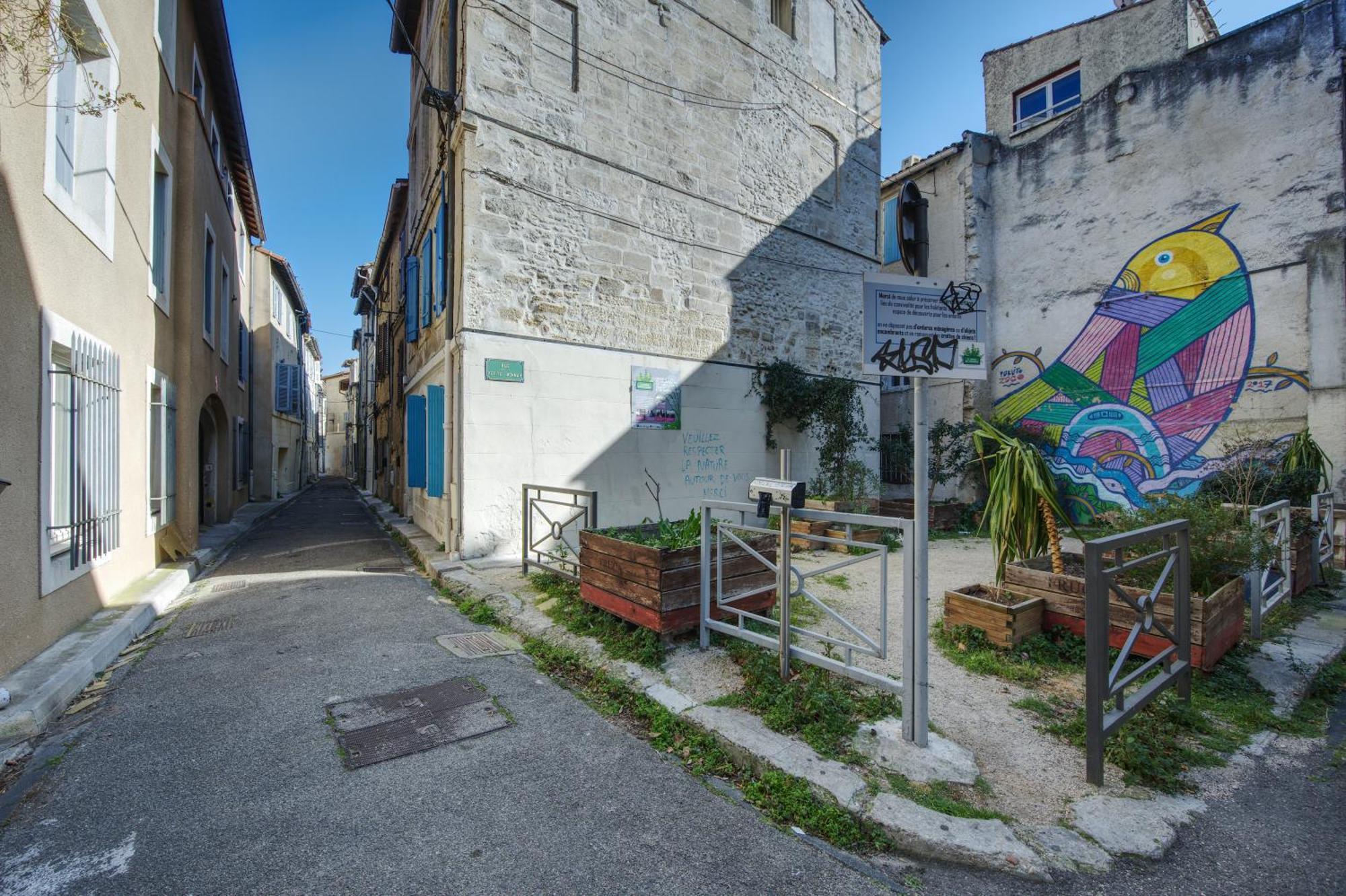 Appartement Cosy Avignon Centre-Ville Eksteriør bilde